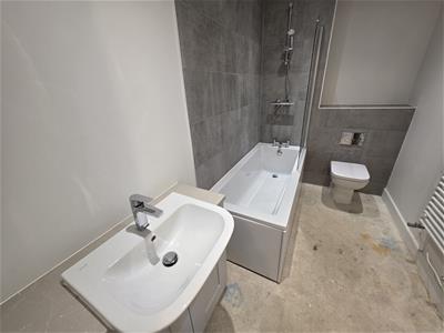 Picture 8